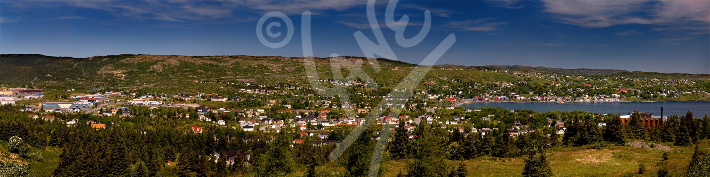 Carbonear